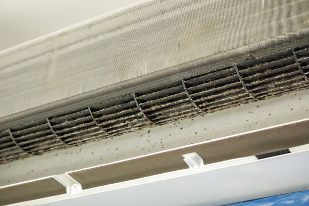 Best Duct Cleaning for Homes  in Mount Airy, GA